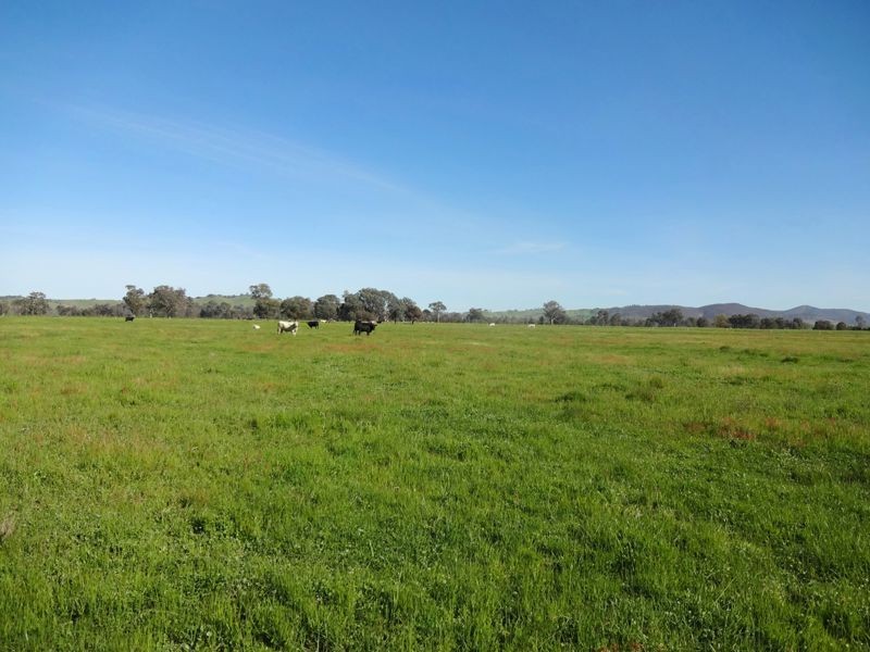 140 Dundas Lane, Greta West VIC 3675