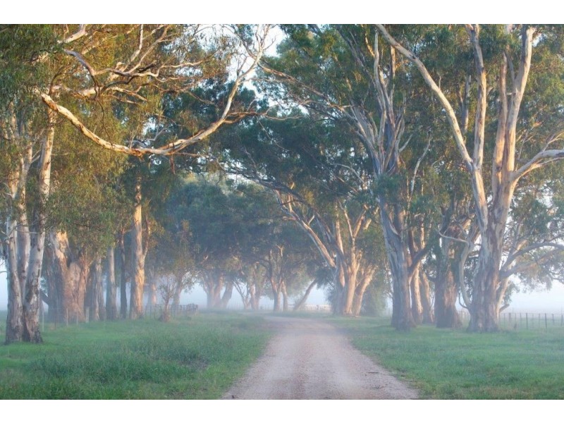 Lot 5 Bourke Road, Bowser VIC 3678