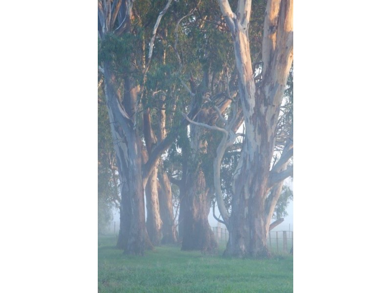 Lot 5 Bourke Road, Bowser VIC 3678