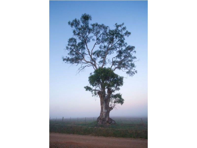 Lot 5 Bourke Road, Bowser VIC 3678