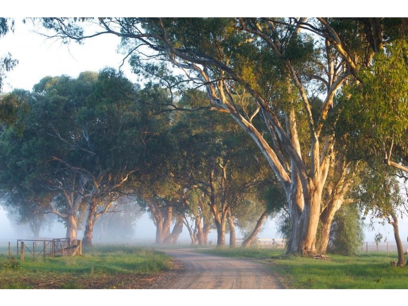 Lot 7 Bourke Road, Bowser VIC 3678