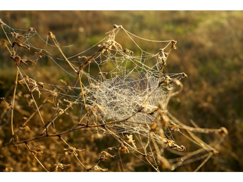 Lot 7 Bourke Road, Bowser VIC 3678