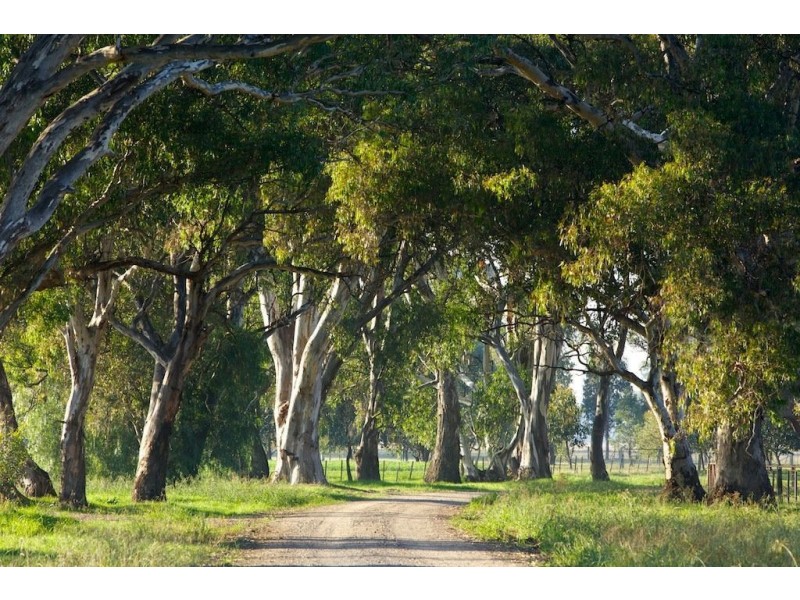 Lot 7 Bourke Road, Bowser VIC 3678