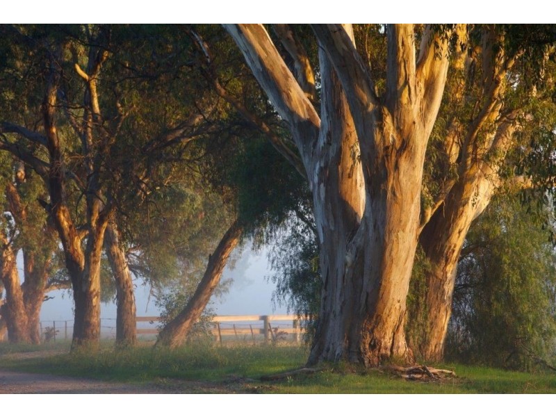 0 Back Estcourt Road, Bowser VIC 3678