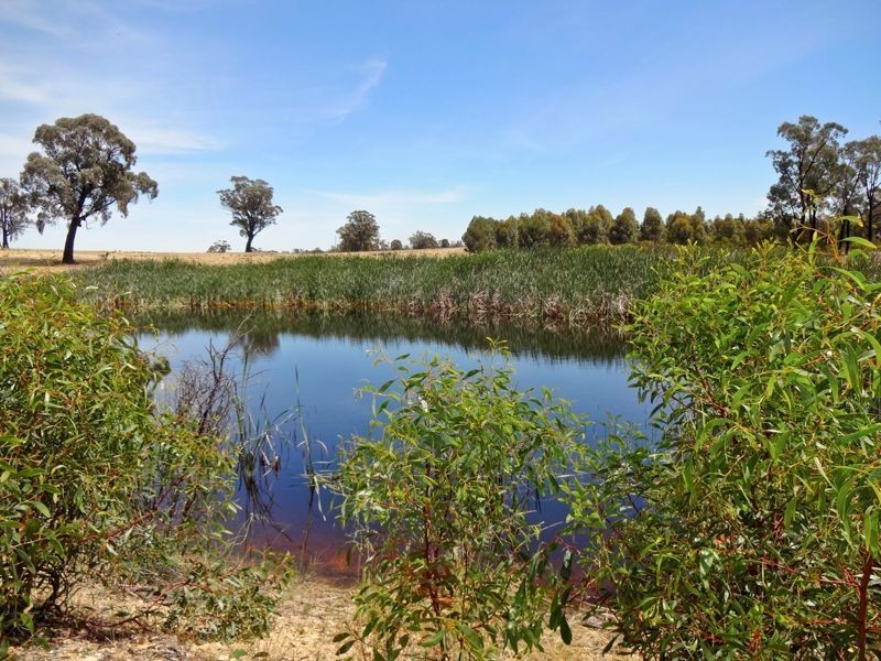 Boweya North VIC 3675