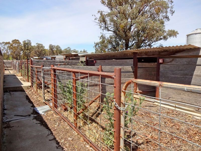 Boweya North VIC 3675