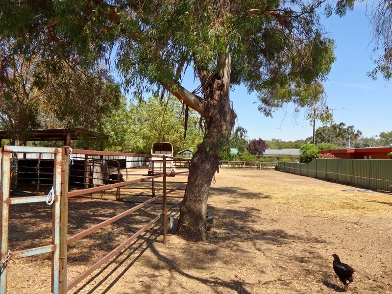 11 Simpson Street, Oxley VIC 3678