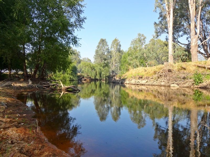 101 Markwood – Everton Road, Markwood VIC 3678