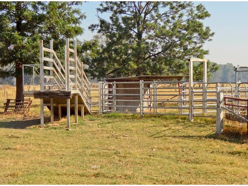 101 Markwood – Everton Road, Markwood VIC 3678