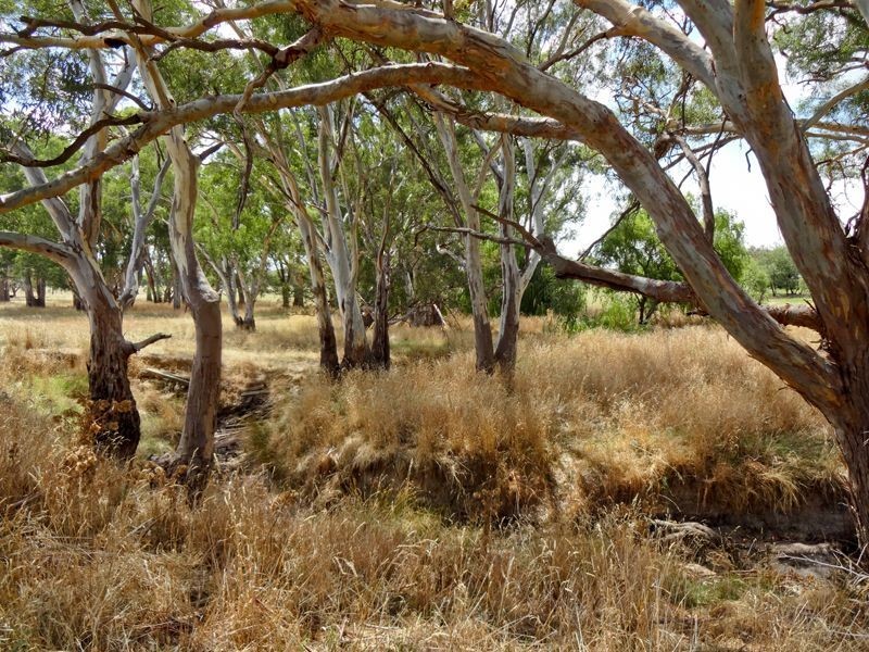 Springhurst VIC 3682