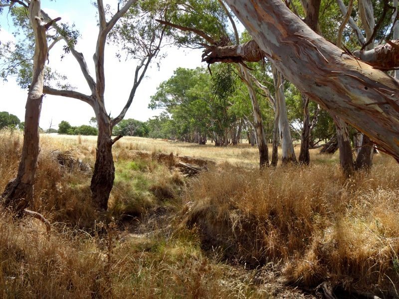 Springhurst VIC 3682