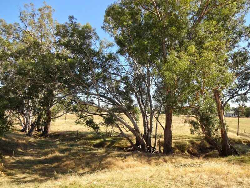 Springhurst VIC 3682