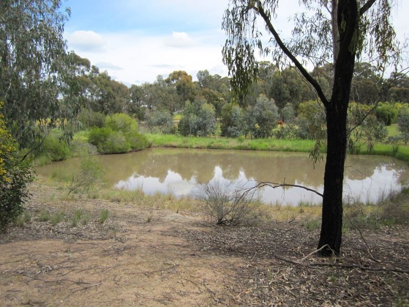 Lot 1 Everitt Road, Peechelba VIC 3678