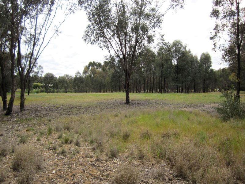 Lot 1 Everitt Road, Peechelba VIC 3678