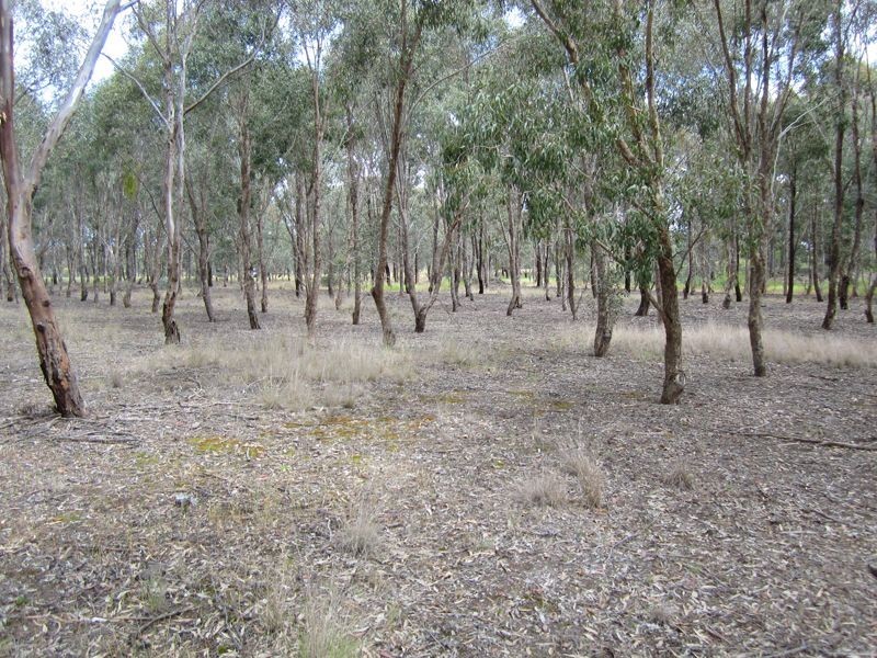 Lot 1 Everitt Road, Peechelba VIC 3678