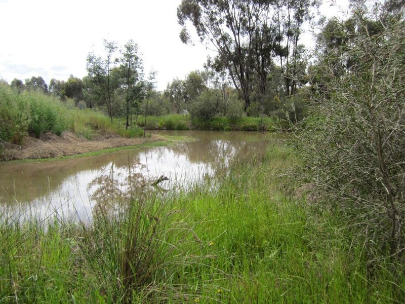 Lot 1 Everitt Road, Peechelba VIC 3678