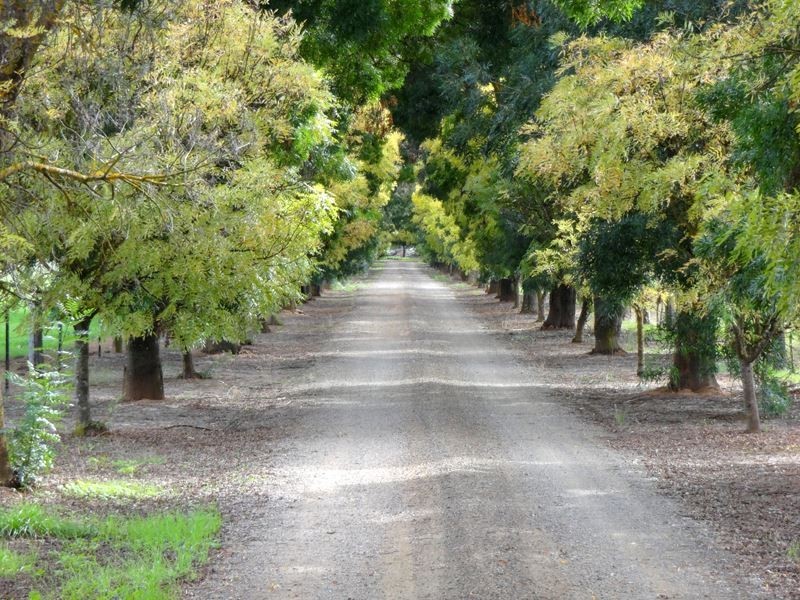 189 Church Lane, Milawa VIC 3678