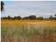63 Plums Road, Dockers Plains VIC 3678