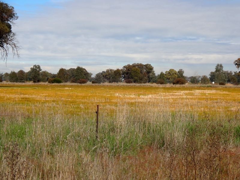 63 Plums Road, Dockers Plains VIC 3678