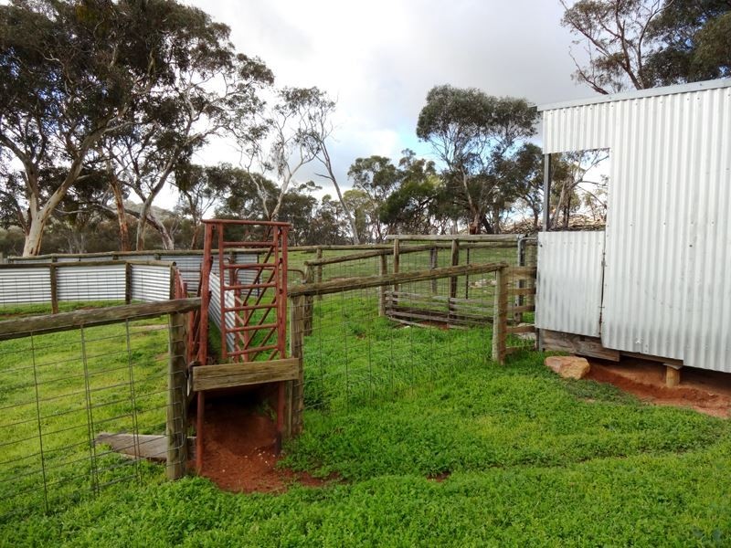 269 Naylors Road, Springhurst VIC 3682