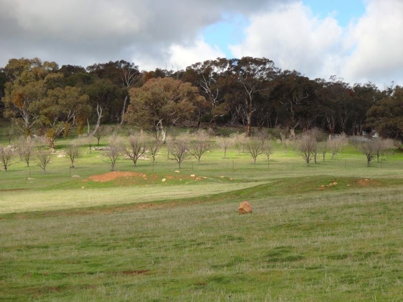 269 Naylors Road, Springhurst VIC 3682