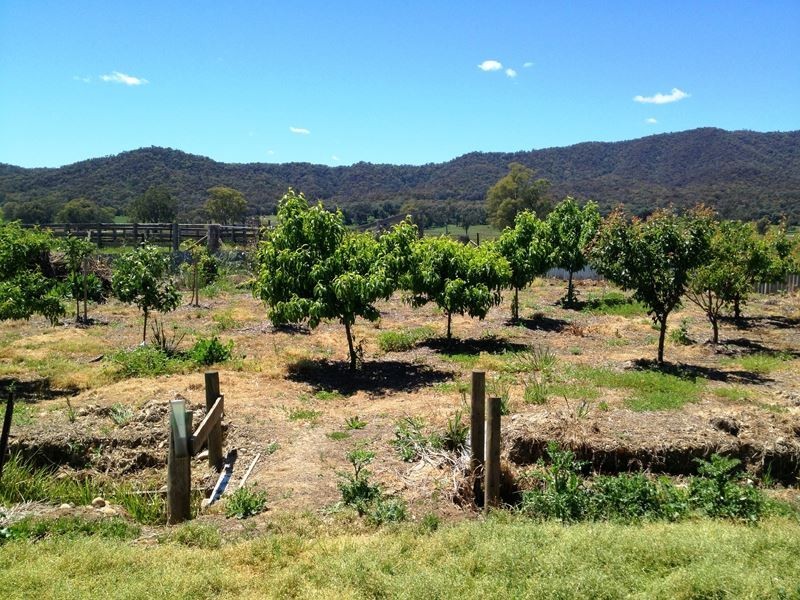 809 Edi Meadow Creek Road, Edi VIC 3678