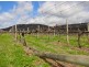 70 Frascas Lane, Myrrhee VIC 3732