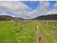70 Frascas Lane, Myrrhee VIC 3732