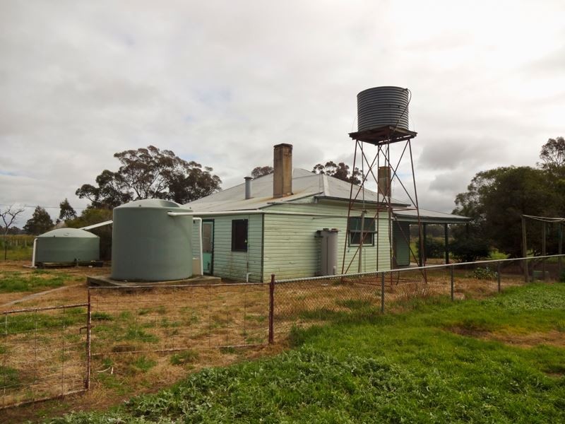 589 Pevitts Road, Norong VIC 3682