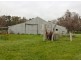 589 Pevitts Road, Norong VIC 3682