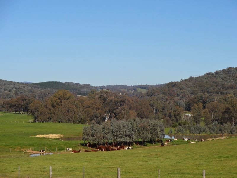 22 Waters Lane, Carboor VIC 3678