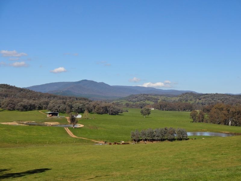 22 Waters Lane, Carboor VIC 3678