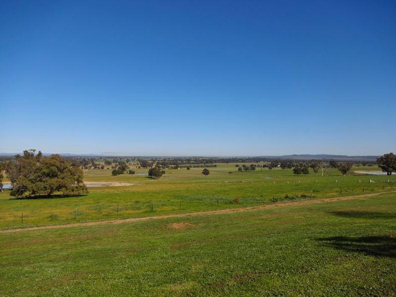 147 Upper Taminick Road, Glenrowan VIC 3675
