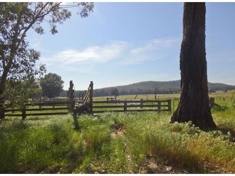 Markwood VIC 3678