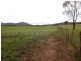 Markwood VIC 3678