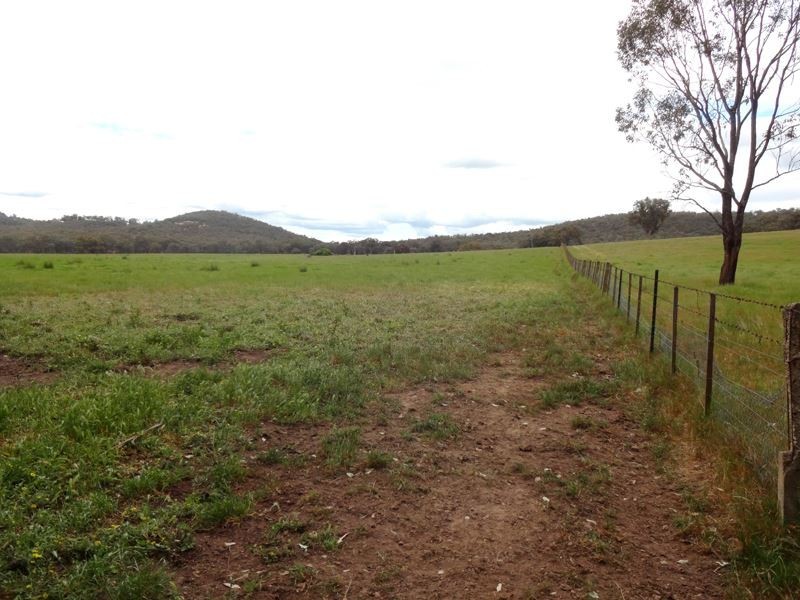 Markwood VIC 3678