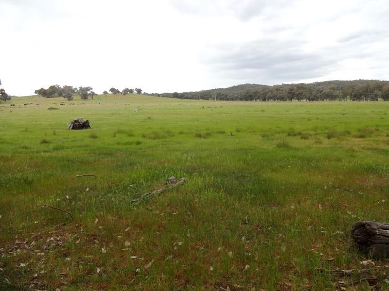 Markwood VIC 3678