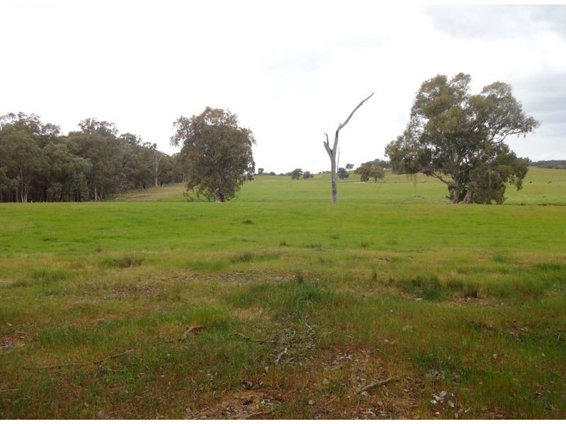 Markwood VIC 3678