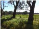 Markwood VIC 3678