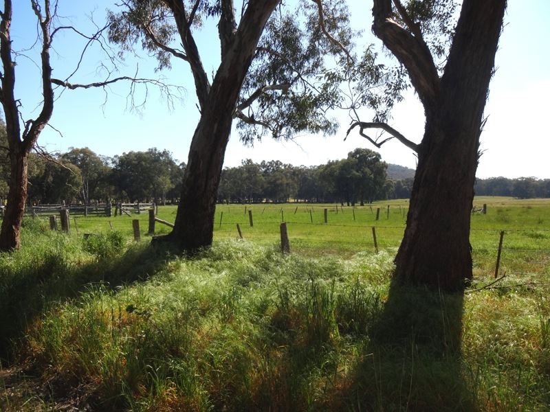 Markwood VIC 3678