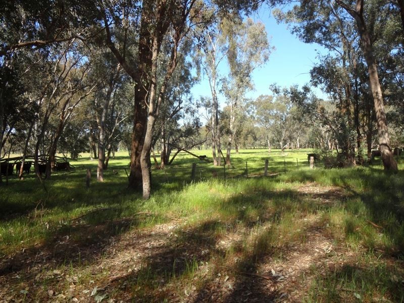 Markwood VIC 3678