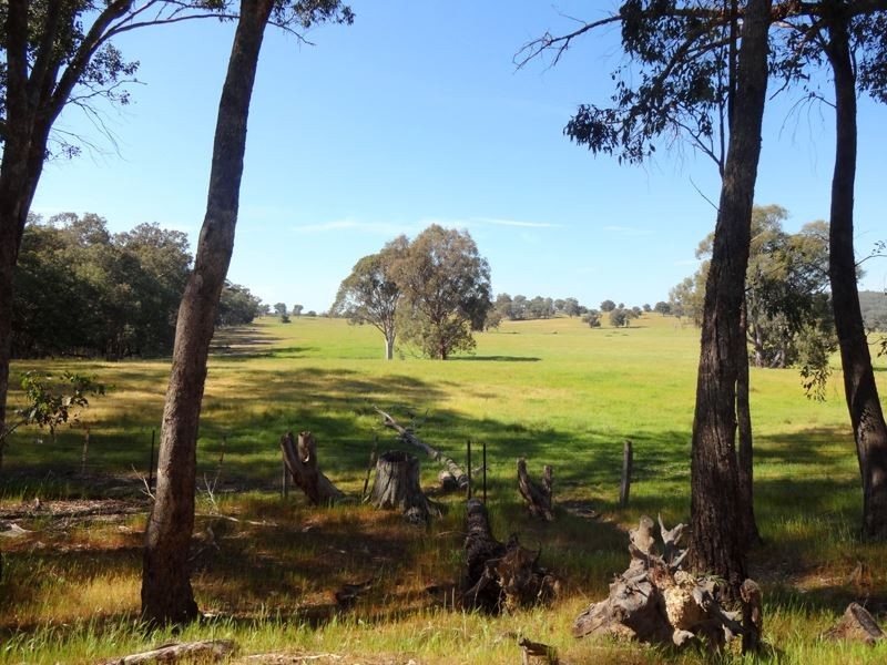 Markwood VIC 3678