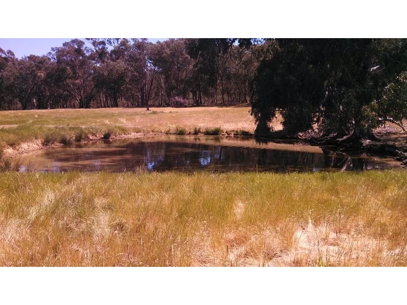 Markwood VIC 3678