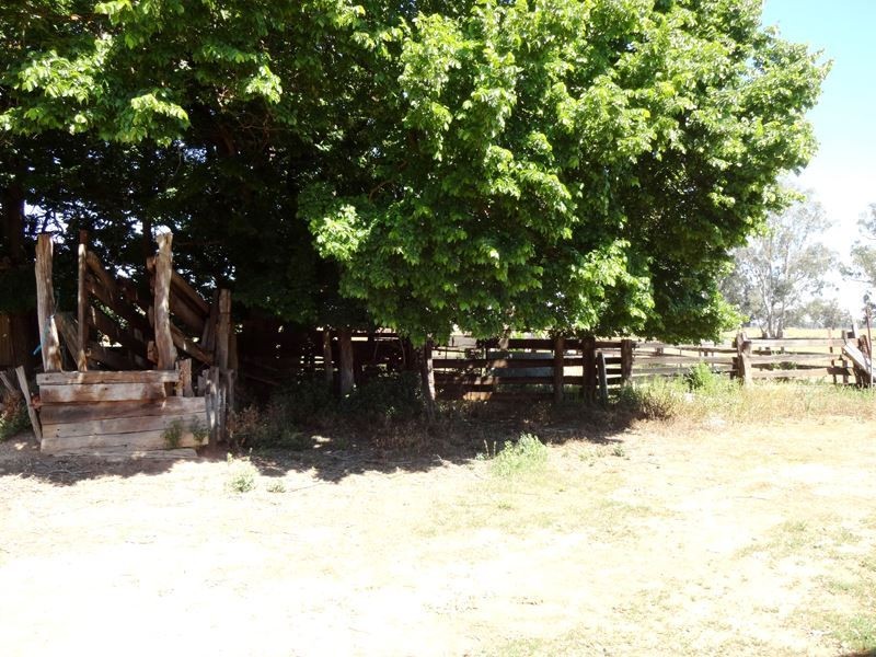 0 Keoghs Road, Boorhaman East VIC 3678