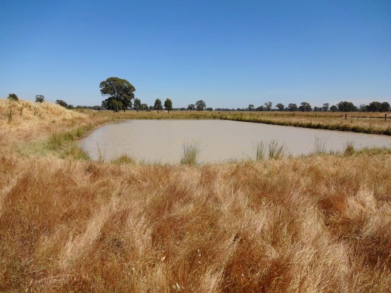 0 Keoghs Road, Boorhaman East VIC 3678