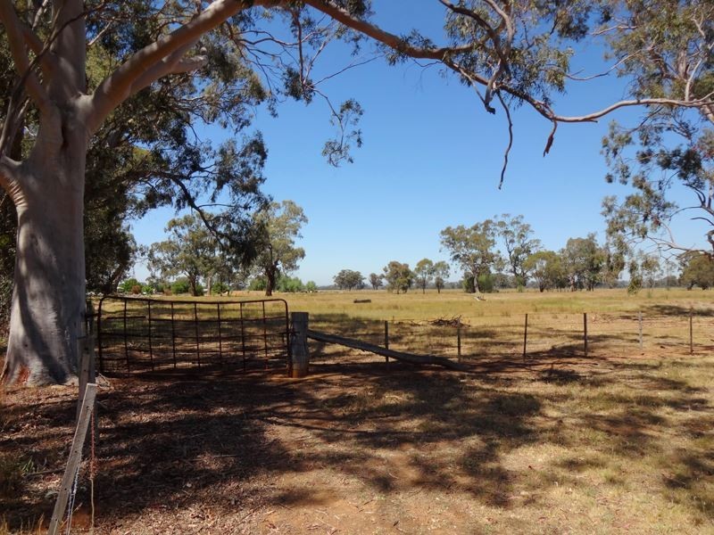 0 Keoghs Road, Boorhaman East VIC 3678