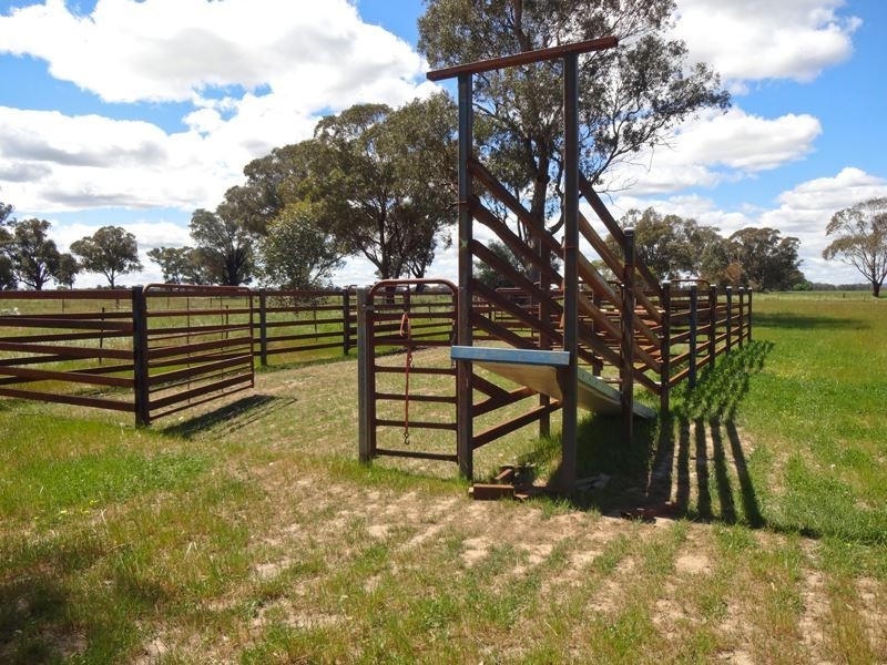 . Boundary Road, Boorhaman East VIC 3678