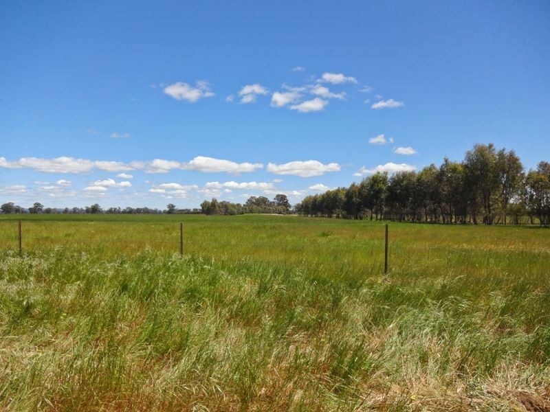 . Boundary Road, Boorhaman East VIC 3678