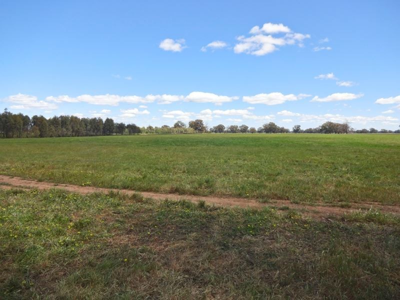 . Boundary Road, Boorhaman East VIC 3678
