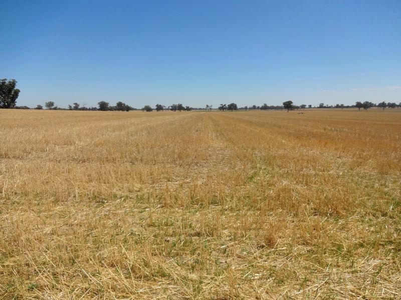 785 Boomahnoomoonah East Road, Bundalong VIC 3730